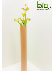TUBEX Easywrap Nature -  biodegradable design.
