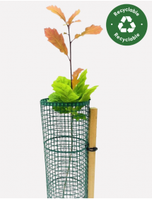 TUBEX Treeguard Mesh for Shrubs