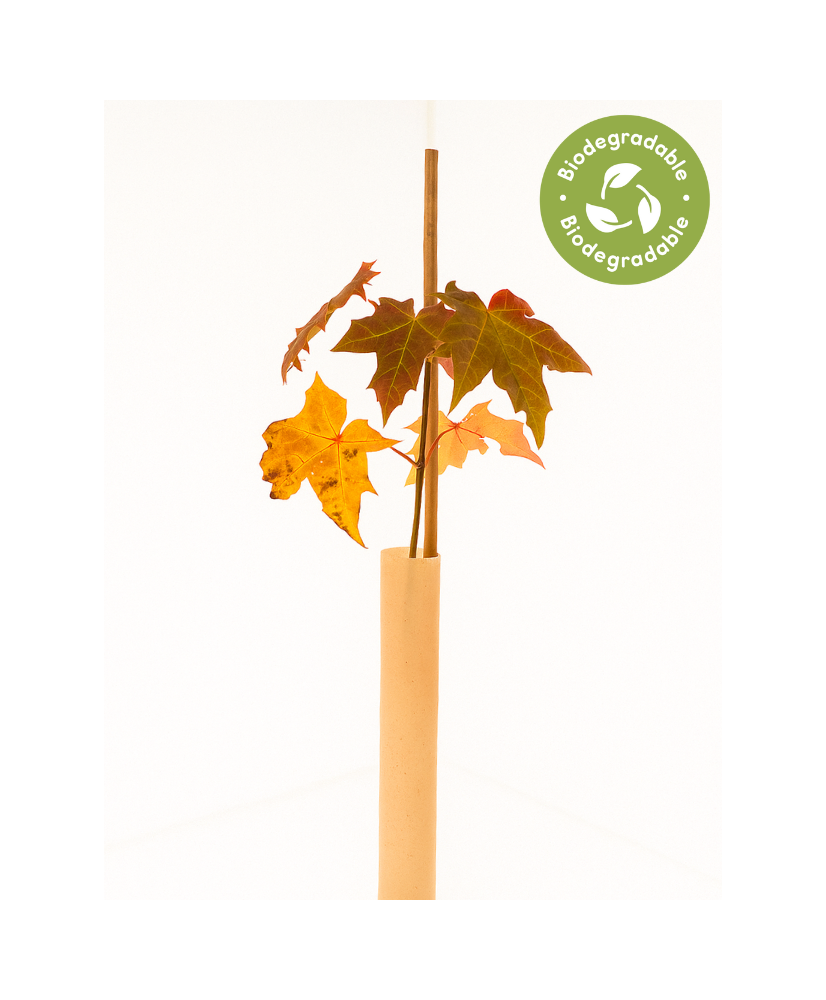 Rainbow Terra Voleguard - Biodegradable