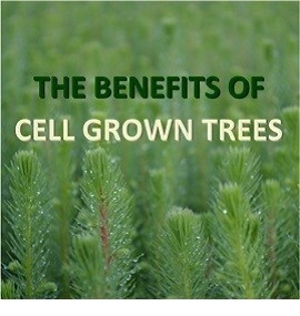 The Benefits of Cell Grown Trees